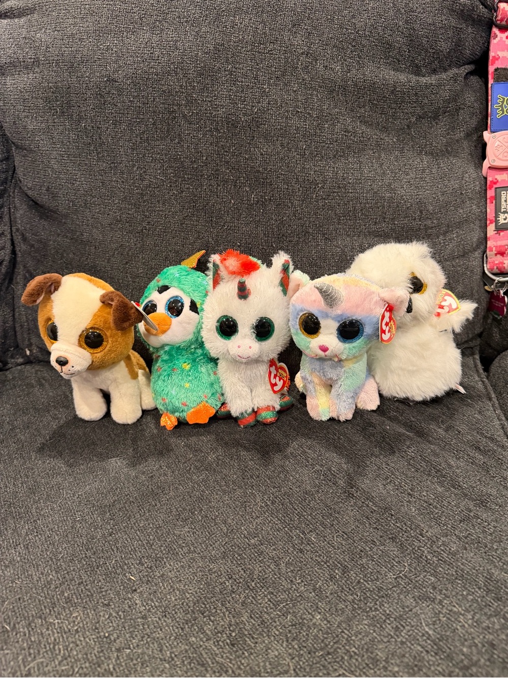 Ty beanie boo plush bundle